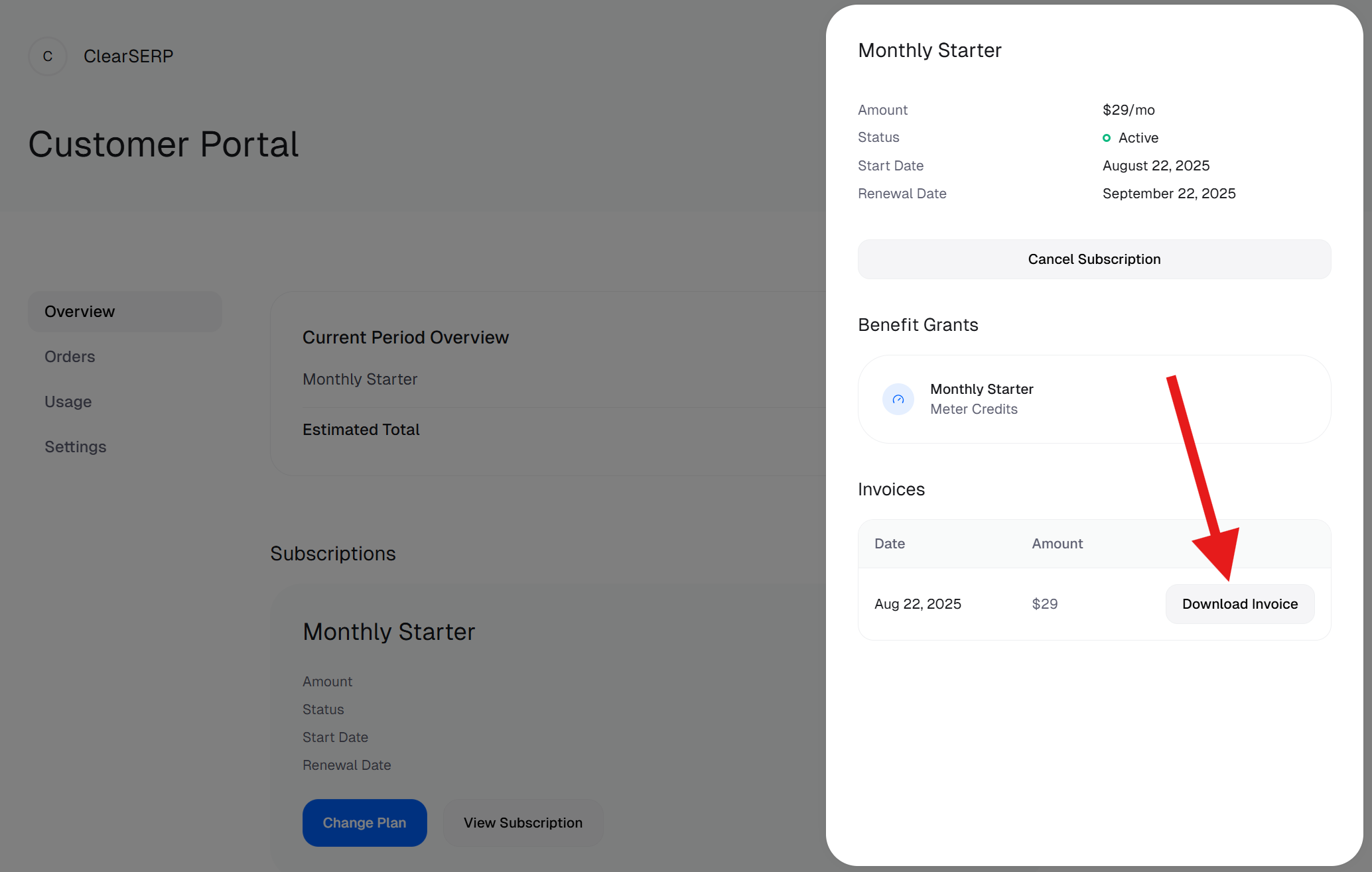 Download Invoice